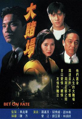 大賭場粵語(全集)