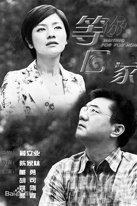 我在等你回家第25集