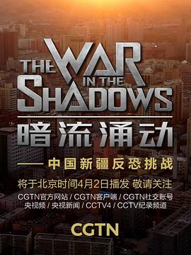 暗流涌動——中國新疆反恐挑戰(zhàn)(全集)